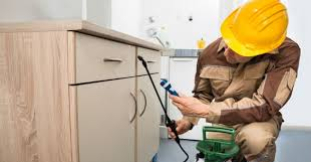 DEDETIZADORA SAO PAULO Ilha Comprida SP