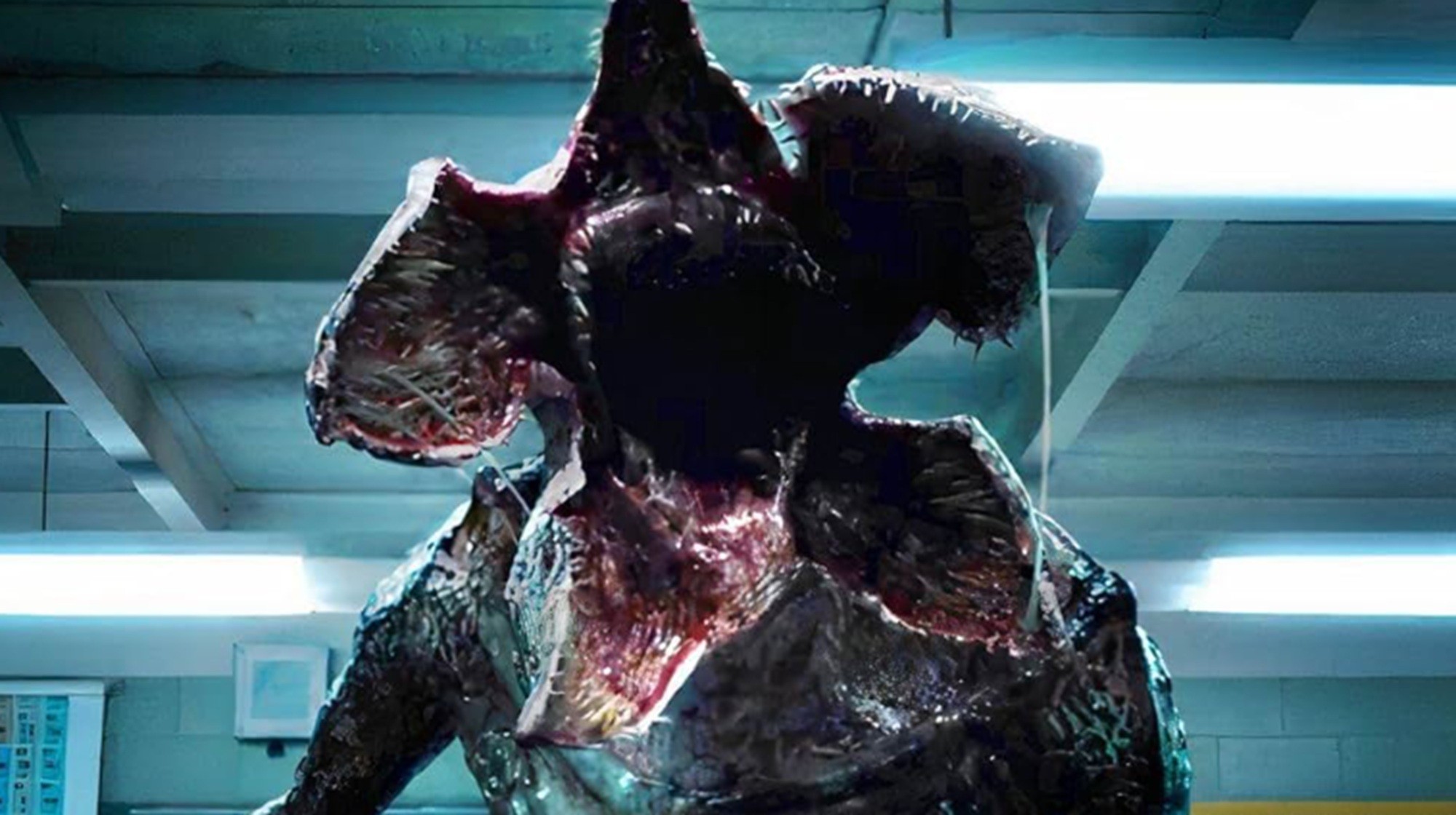 foto Not&iacute;cia Ilha Comprida